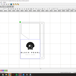 100 Black Pearl Tray Bill Presenters W/Pen